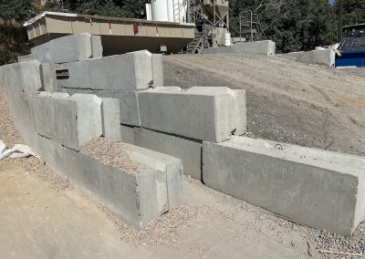 Ecology Blocks 21