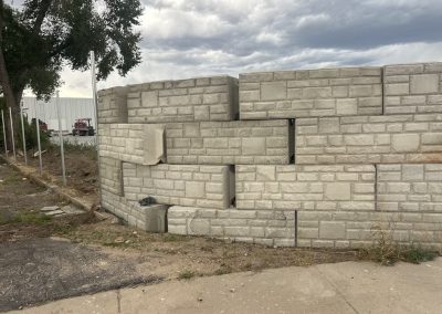 Ecology Blocks 31