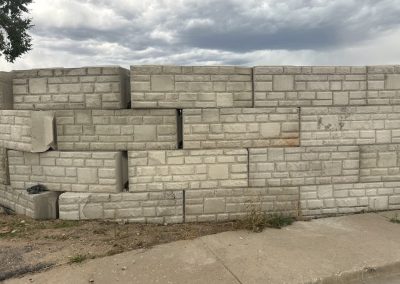 Ecology Blocks 34