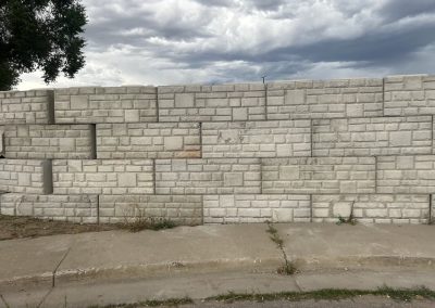 Ecology Blocks 43